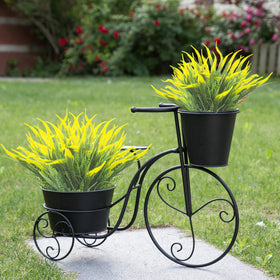 Grunyia greenery for porch or window box adds cheerful, maintenance-free color.