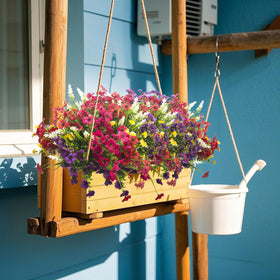 Grunyia flowers suit indoor and outdoor spaces, from windows to garden borders.