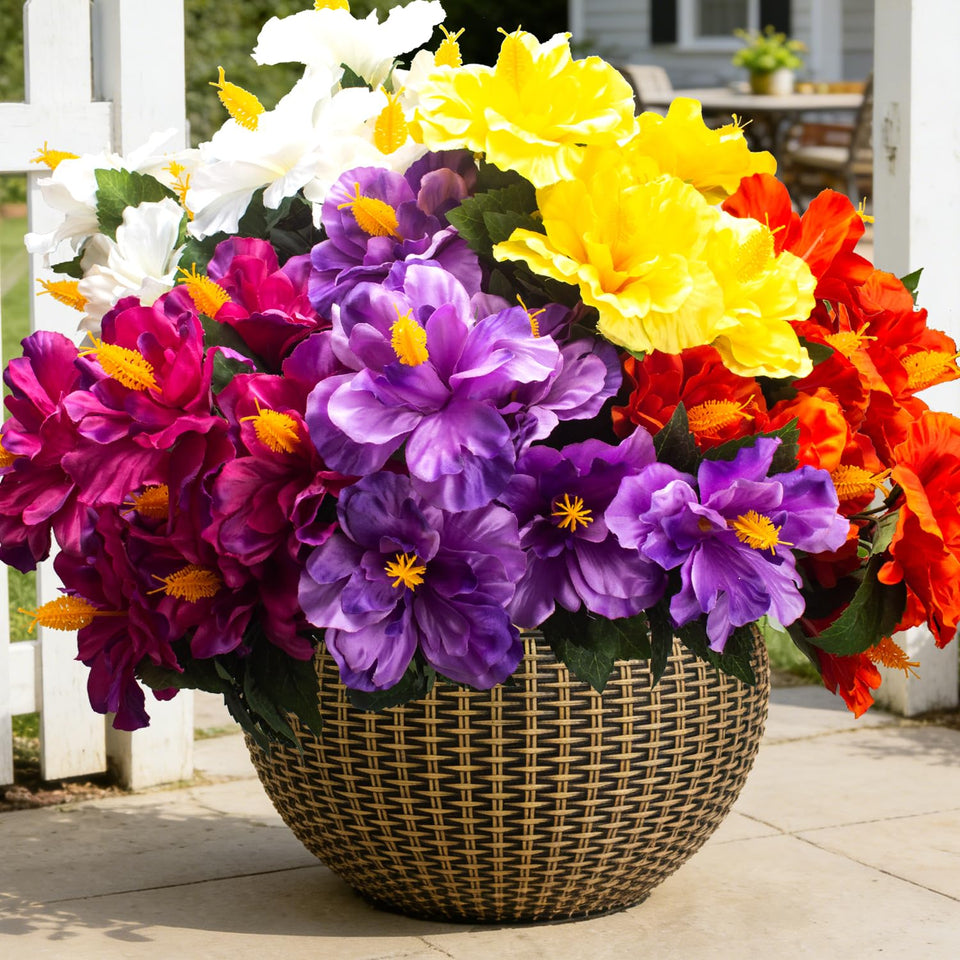 Grunyia hibiscus mix colors blooms for a vibrant outdoor display