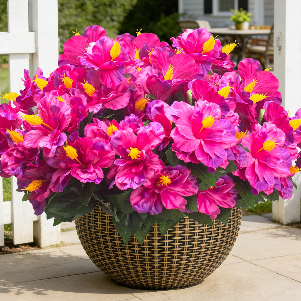 Grunyia hibiscus outdoor bloom close-up with vivid fuchsia color for durable garden decor.