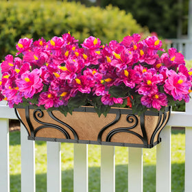 Grunyia outdoor hibiscus stems are flexible for easy arrangement in pots.
