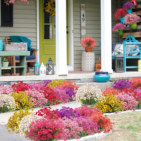 Grunyia purple faux flowers provide long-lasting color without fading