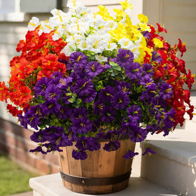 Grunyia 16-bundle morning glory arrangement in planter with vibrant outdoor color