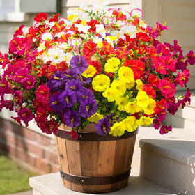 Grunyia morning glory flowers with eucalyptus bundle, UV-resistant for outdoor porch displays.