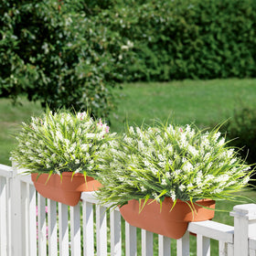 Grunyia white flowers add understated elegance to any setting.