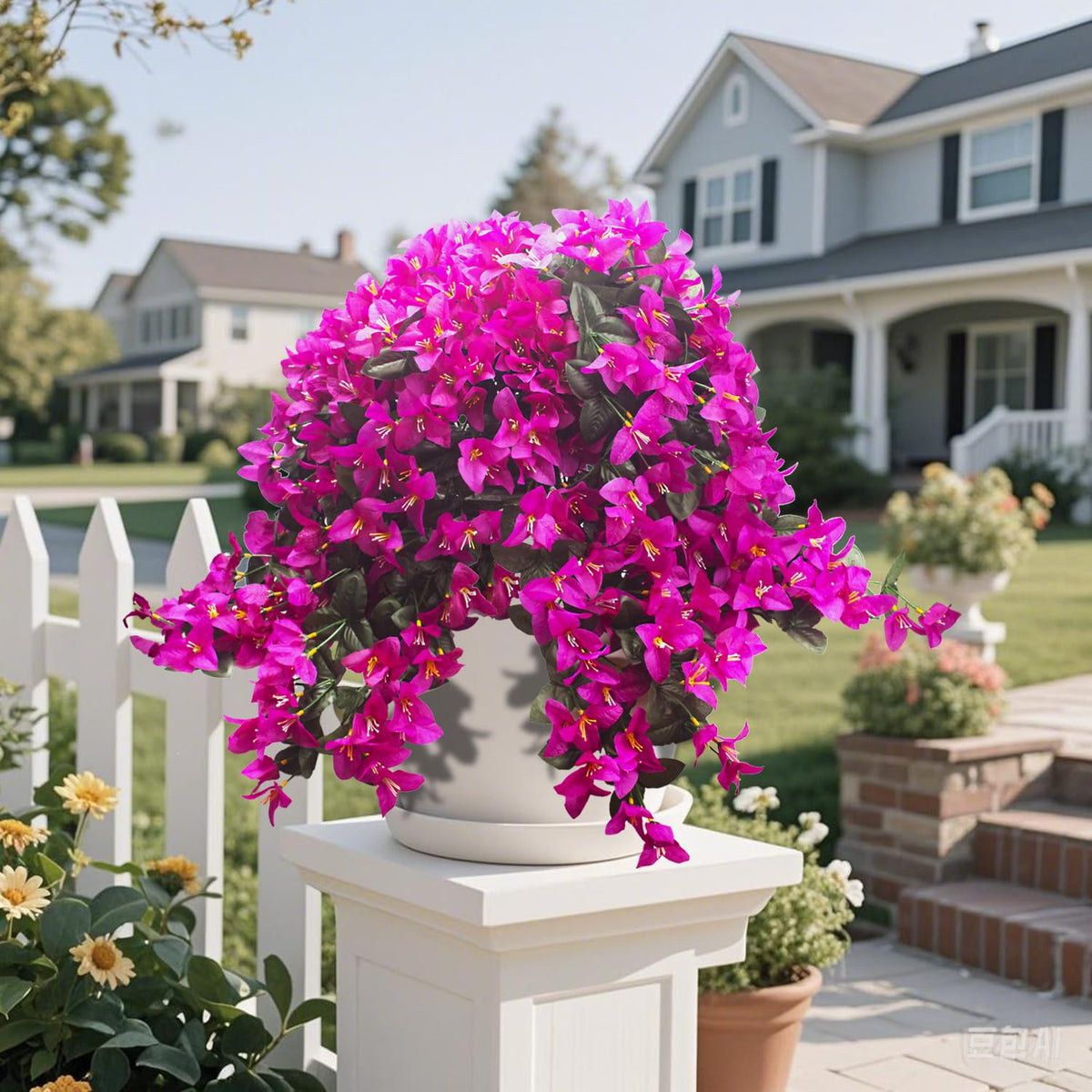 Grunyia outdoor bougainvillea garden decor with trailing vines.