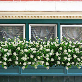 Grunyia outdoor-ready greenery designed to endure sun and weather conditions