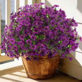 Grunyia outdoor flowers 20 bundles on stakes brighten garden borders