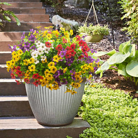 Grunyia outdoor garden decor daisies create focal points on patios