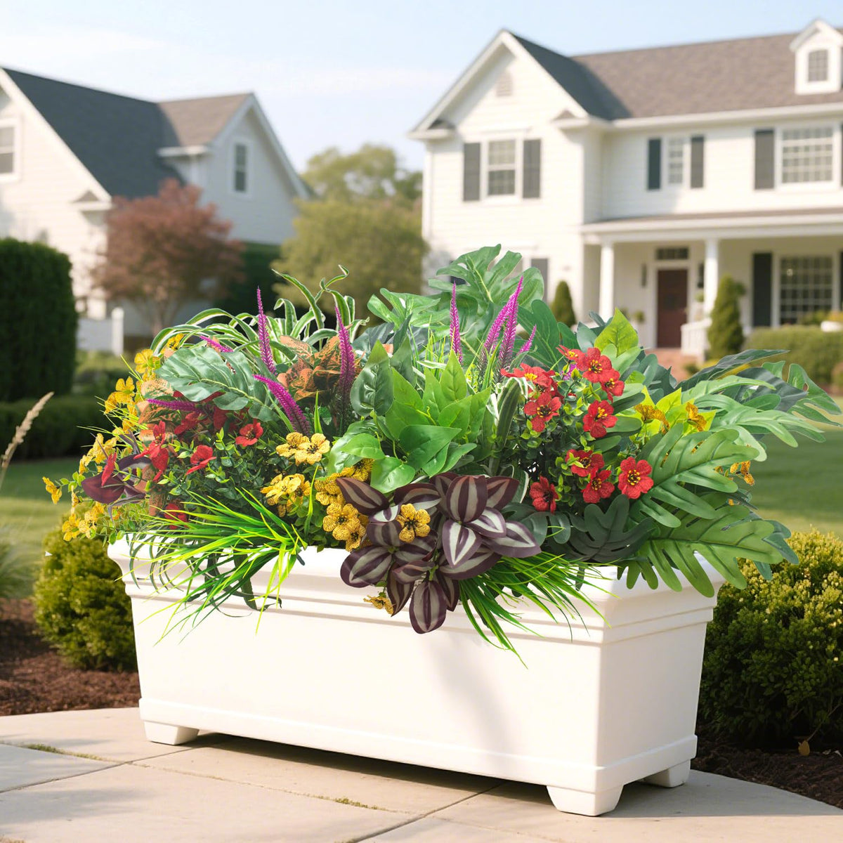 Grunyia outdoor greenery enhances window box planters all year.