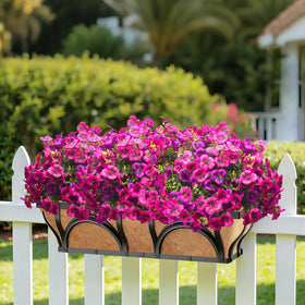 Grunyia pansy flowers on a front porch pot display