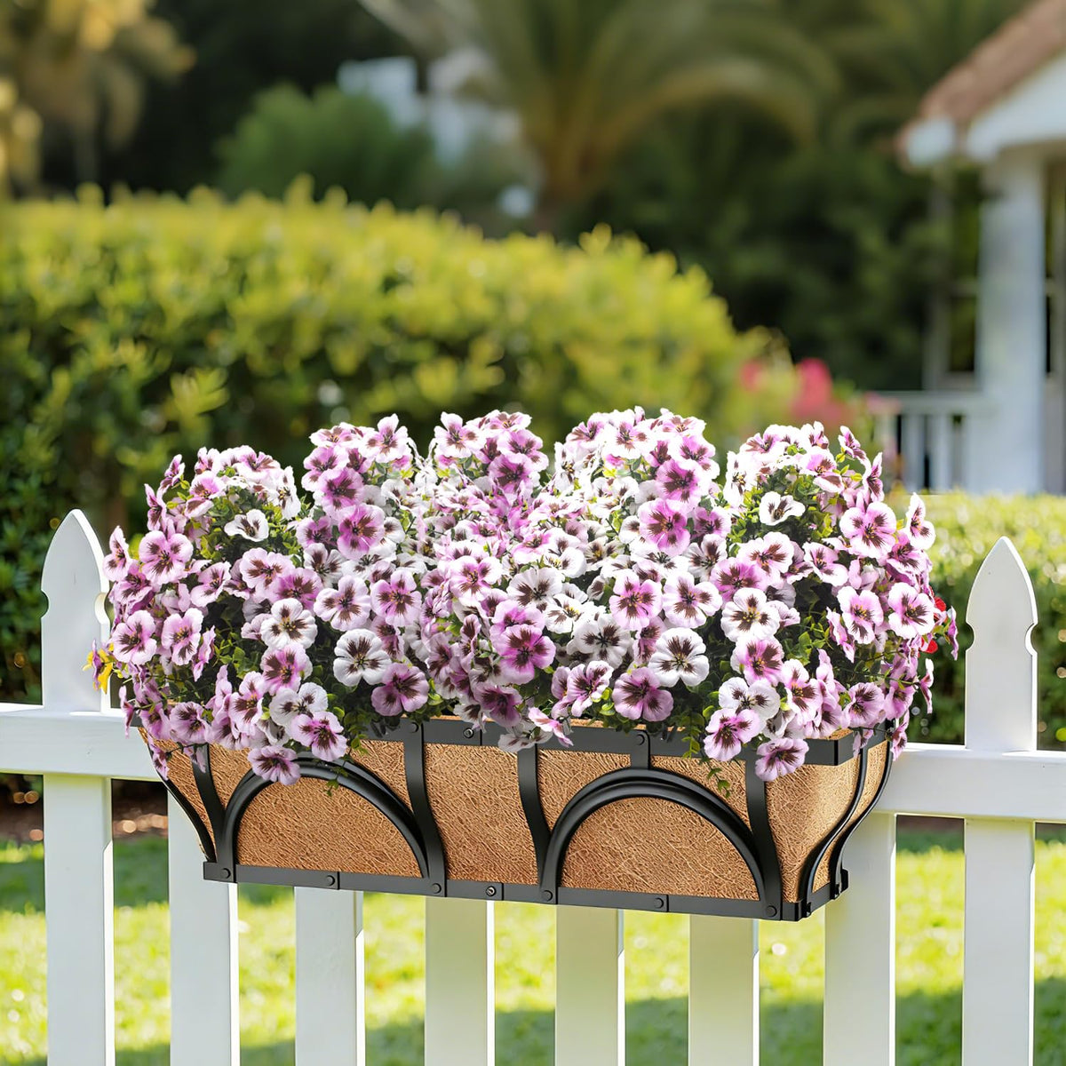 Grunyia pansy stems are flexible for easy hanging basket styling.