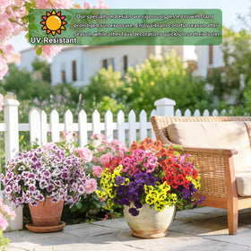 Grunyia pansy pink bundle brightens window boxes