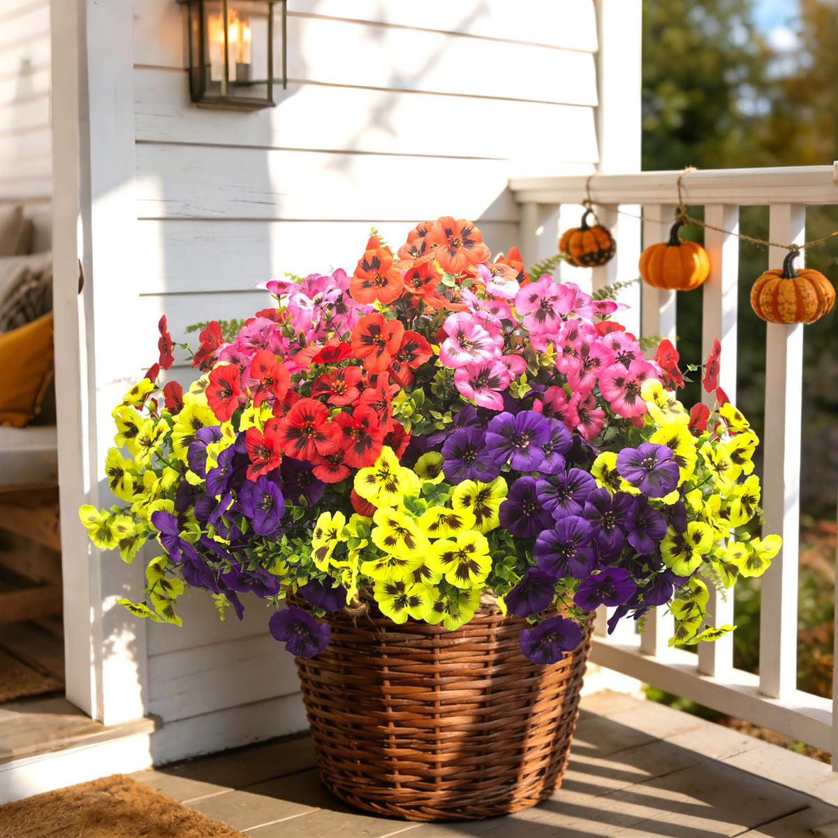 Grunyia pansy red bundle elevates porch arrangements