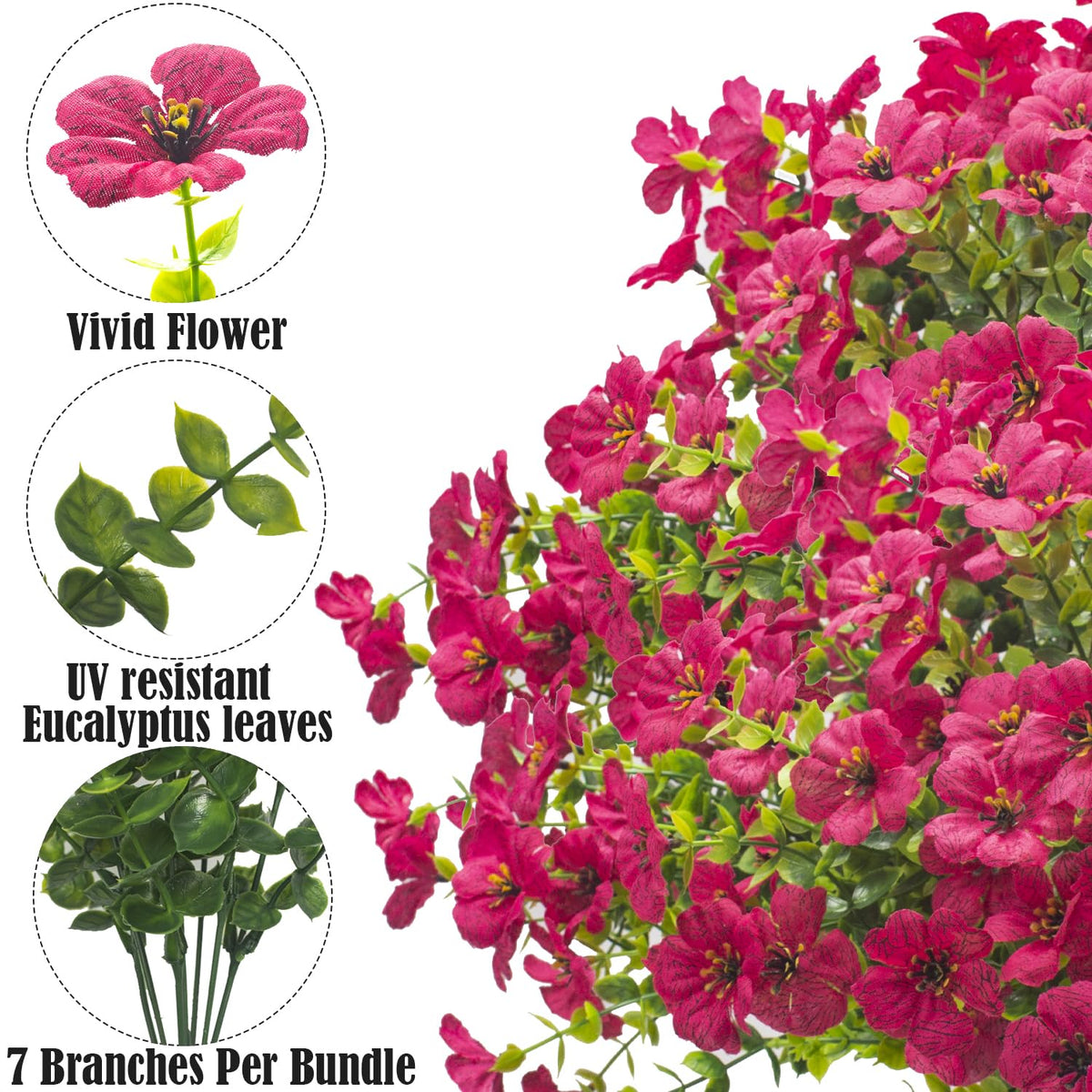 Grunyia rose-red daisy outdoor bundle 3, ideal for garden planters and window boxes
