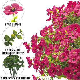 Grunyia rose-red daisy outdoor bundle 3, ideal for garden planters and window boxes