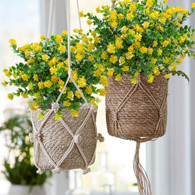Grunyia safety materials—poisonless and eco-friendly for safe decor.