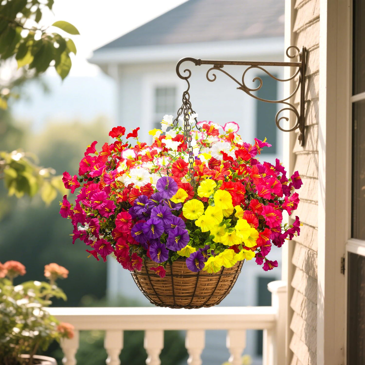 Grunyia silk morning glory cluster, three-dimensional stems perfect for window boxes.