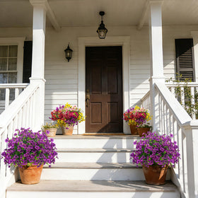 Grunyia spikes offer easy installation for ground or planters