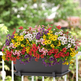Grunyia weatherproof artificial flowers withstand sun and rain with vibrant appearance