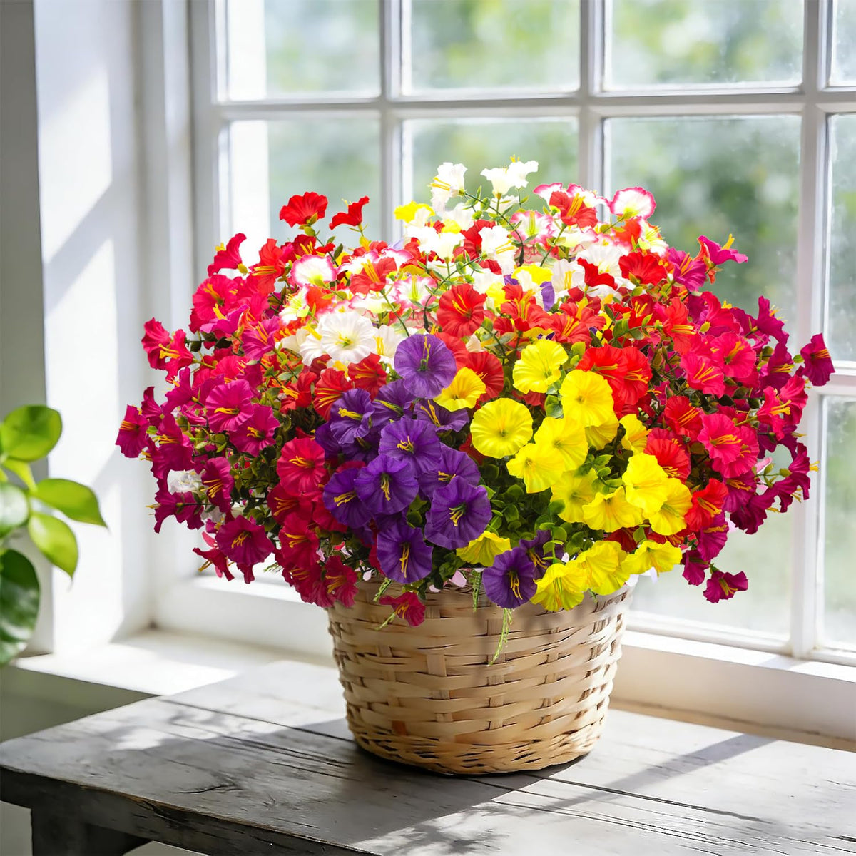 Grunyia weatherproof morning glory arrangement, bright colors enduring heavy sun and rain.