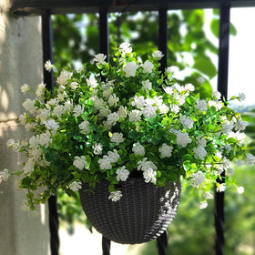 Grunyia window box and front porch blooms for curb appeal