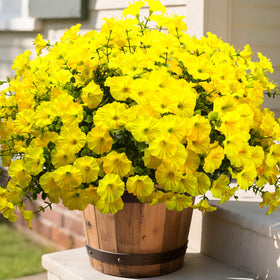 Grunyia yellow artificial flowers for outdoor planters brighten curb appeal