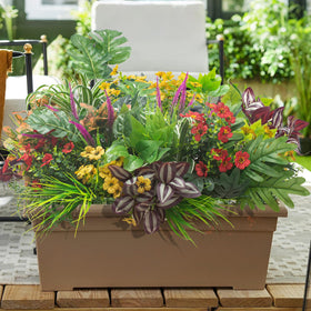 Grunyia zero-maintenance plants stay vibrant without watering or pruning.