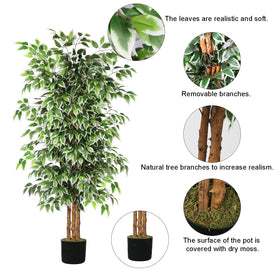 GTIDEA natural wood trunk detail adds authentic texture to the ficus.