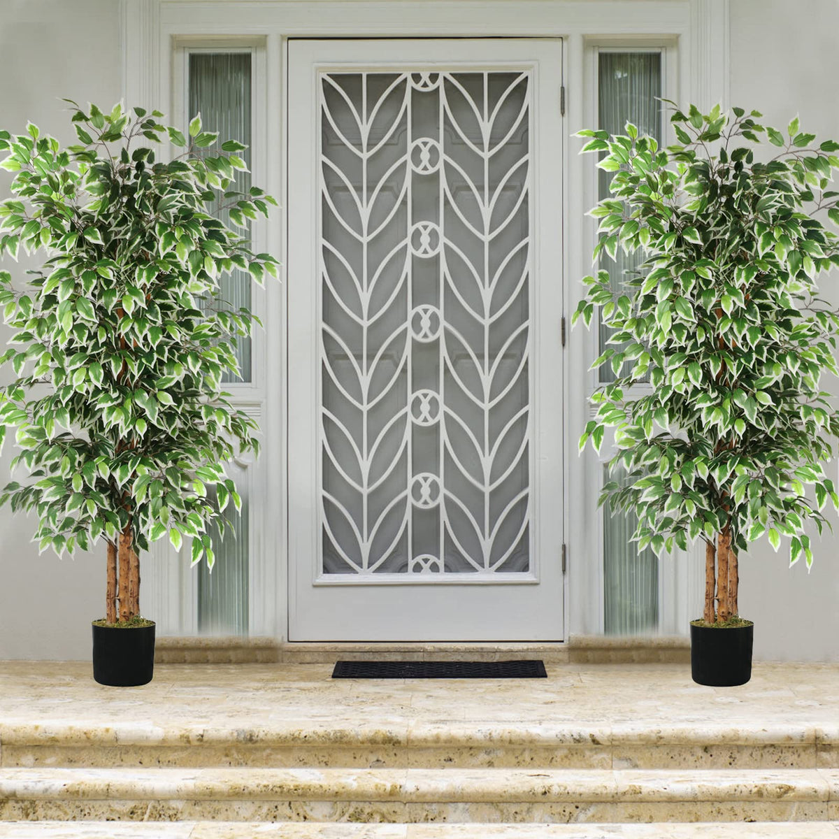 GTIDEA office ficus tree creates a calming green backdrop.