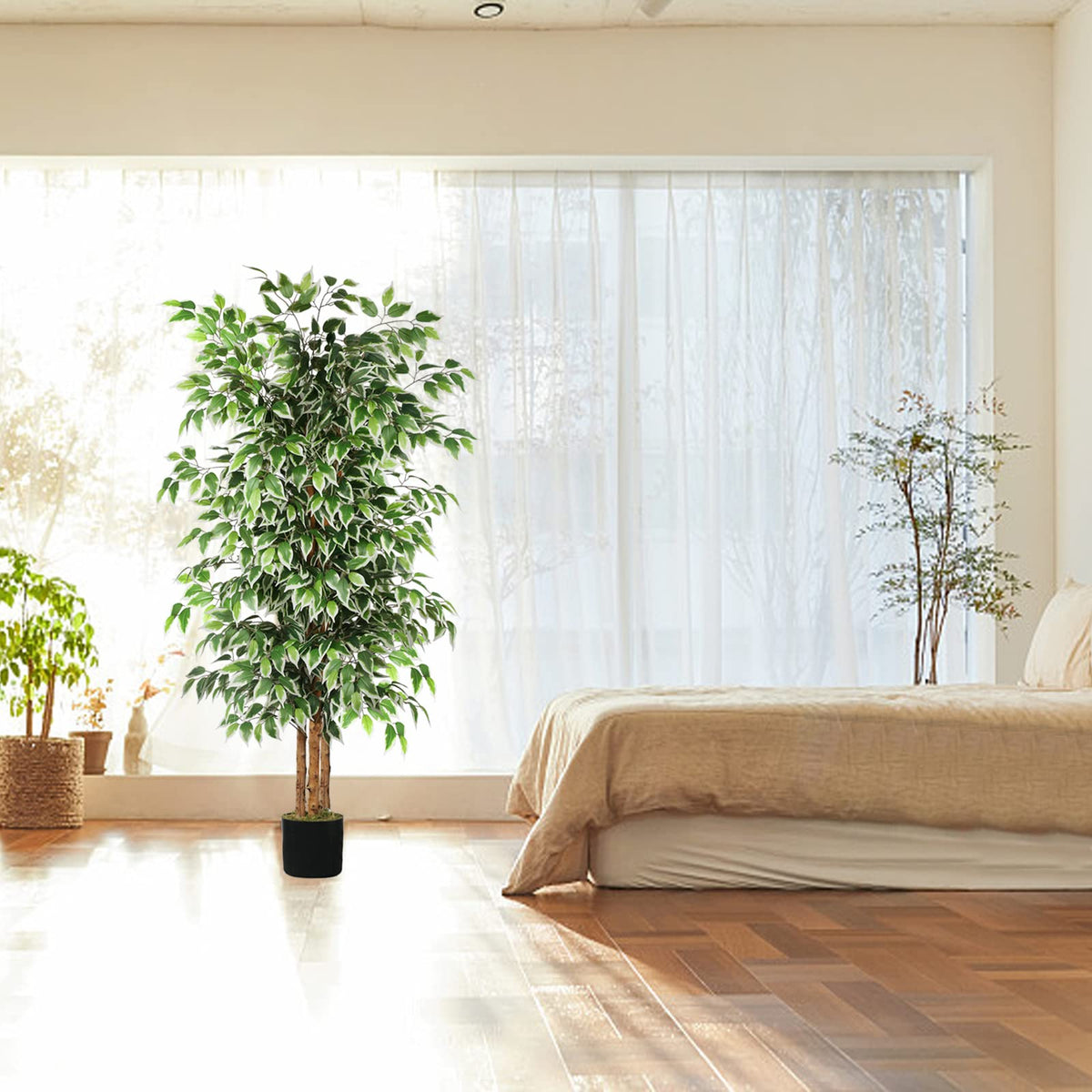 GTIDEA outdoor balcony ficus fits sheltered spaces while adding color.