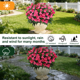 Guagb outdoor impatiens rose red windproof detail for porches.