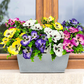 Guagb twelve-bundle set enables versatile color arrangements for outdoor spaces.