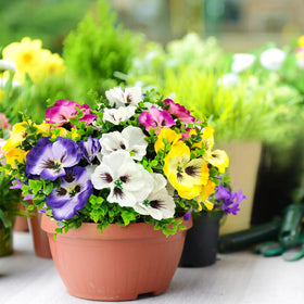 Guagb UV-resistant materials keep color bright under sun for outdoors.