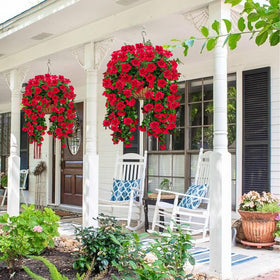 Guagb weatherproof outdoor geraniums built for long-lasting outdoor use.