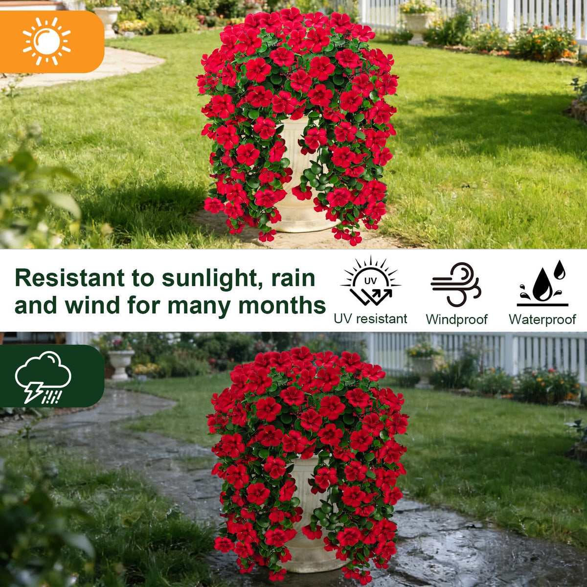 Guagb ideal for front porches, window boxes, and garden borders.