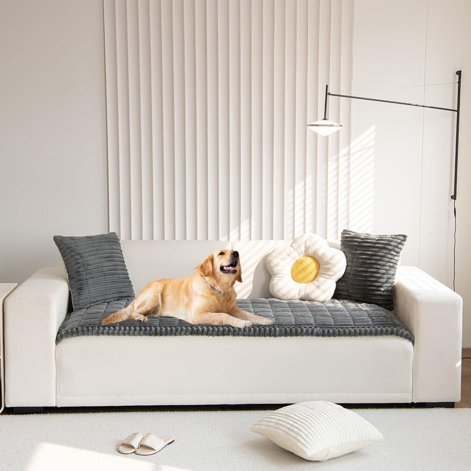 Gumfolk pet couch cover in dark grey protecting the sofa.