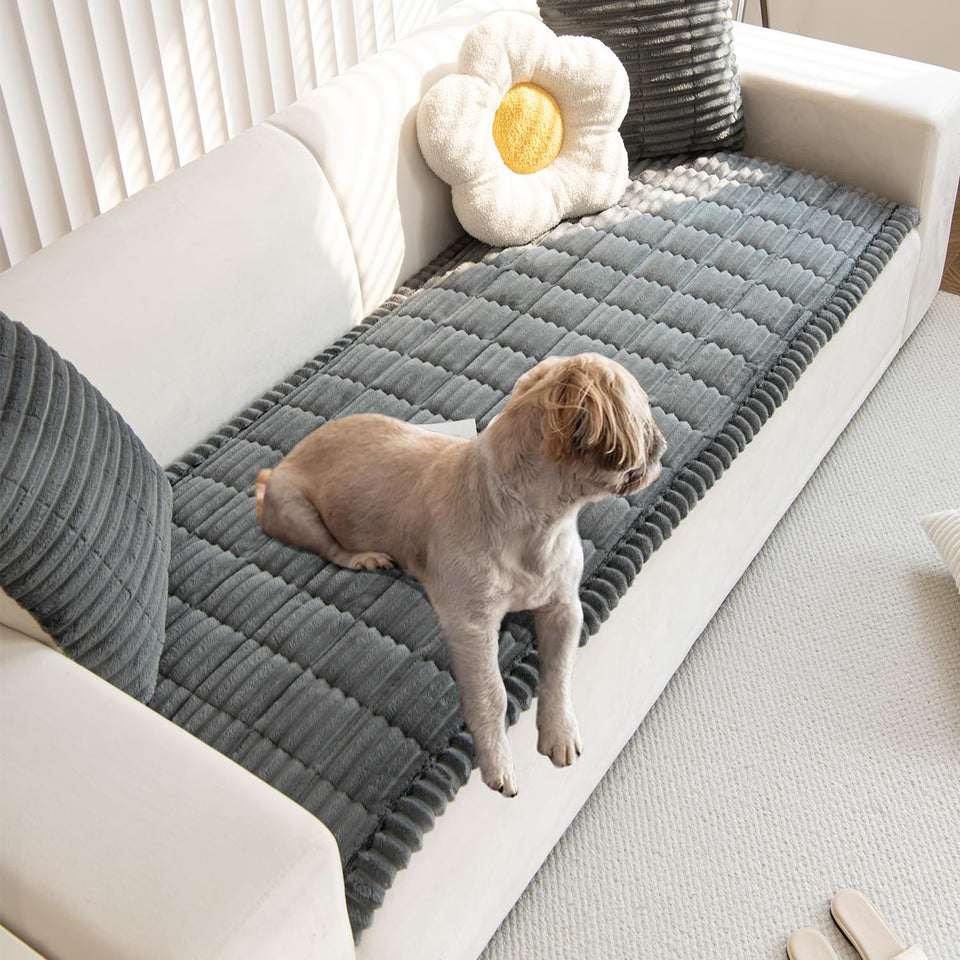 Gumfolk pet couch cover in durable material protecting sofa from scratches and spills.