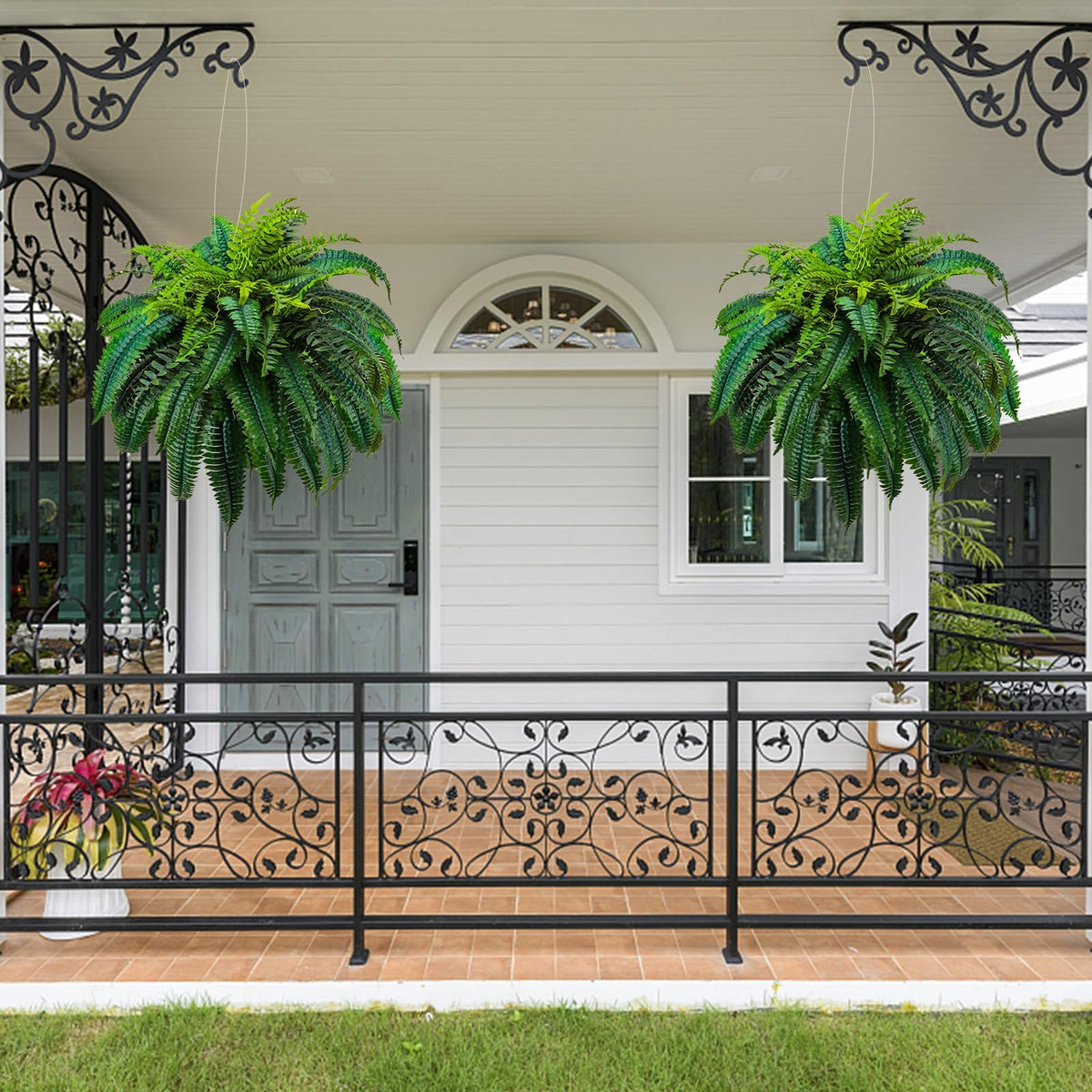 GYERB 88-leaves Boston fern displays 48-inch diameter for full coverage