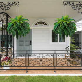GYERB 88-leaves Boston fern displays 48-inch diameter for full coverage