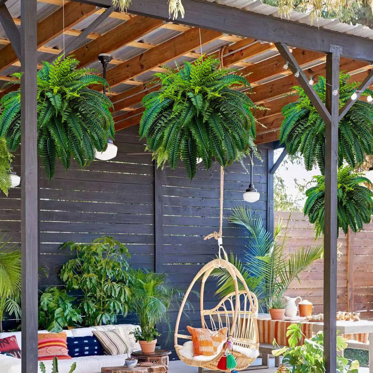GYERB fern in living room setup for evergreen interior styling