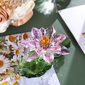 H&D Hyaline & Dora pink sparkle crystal lotus shines on a sunny windowsill