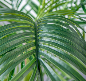 HAIHONG palm tree with adjustable branches for shaping a tropical display