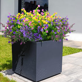 Hananona vase not included; ready for your container