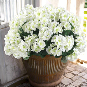 Hananona outdoor white artificial geraniums, six-bundle set for porch decor.
