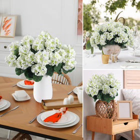 Hananona full-bloom geranium heads for vibrant focal points on porches.