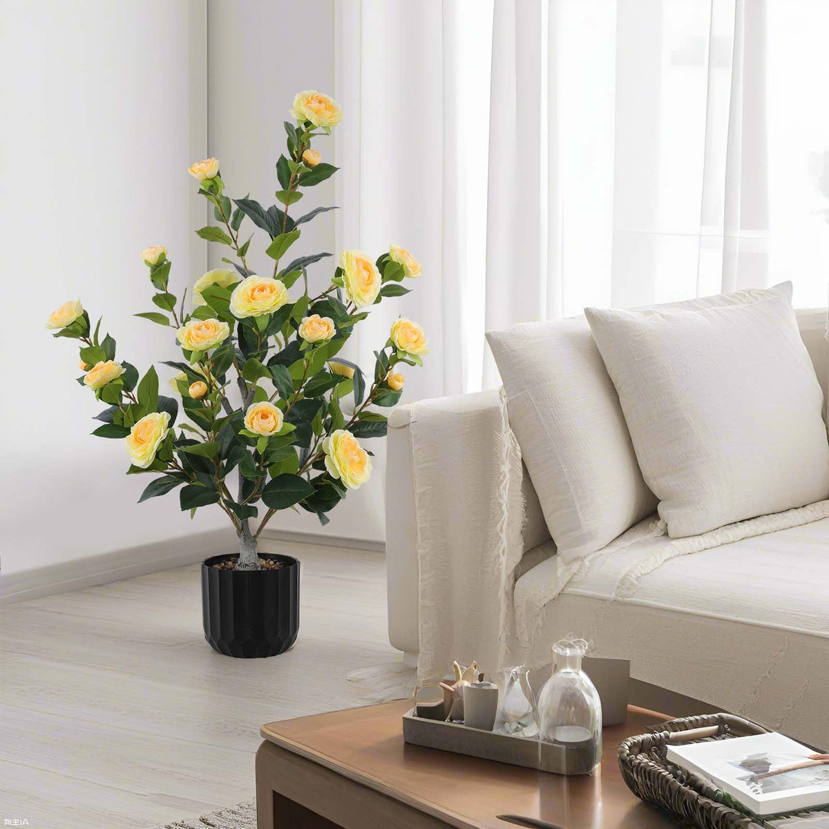 Hananona camellia tree maintenance is simple—dust to refresh color