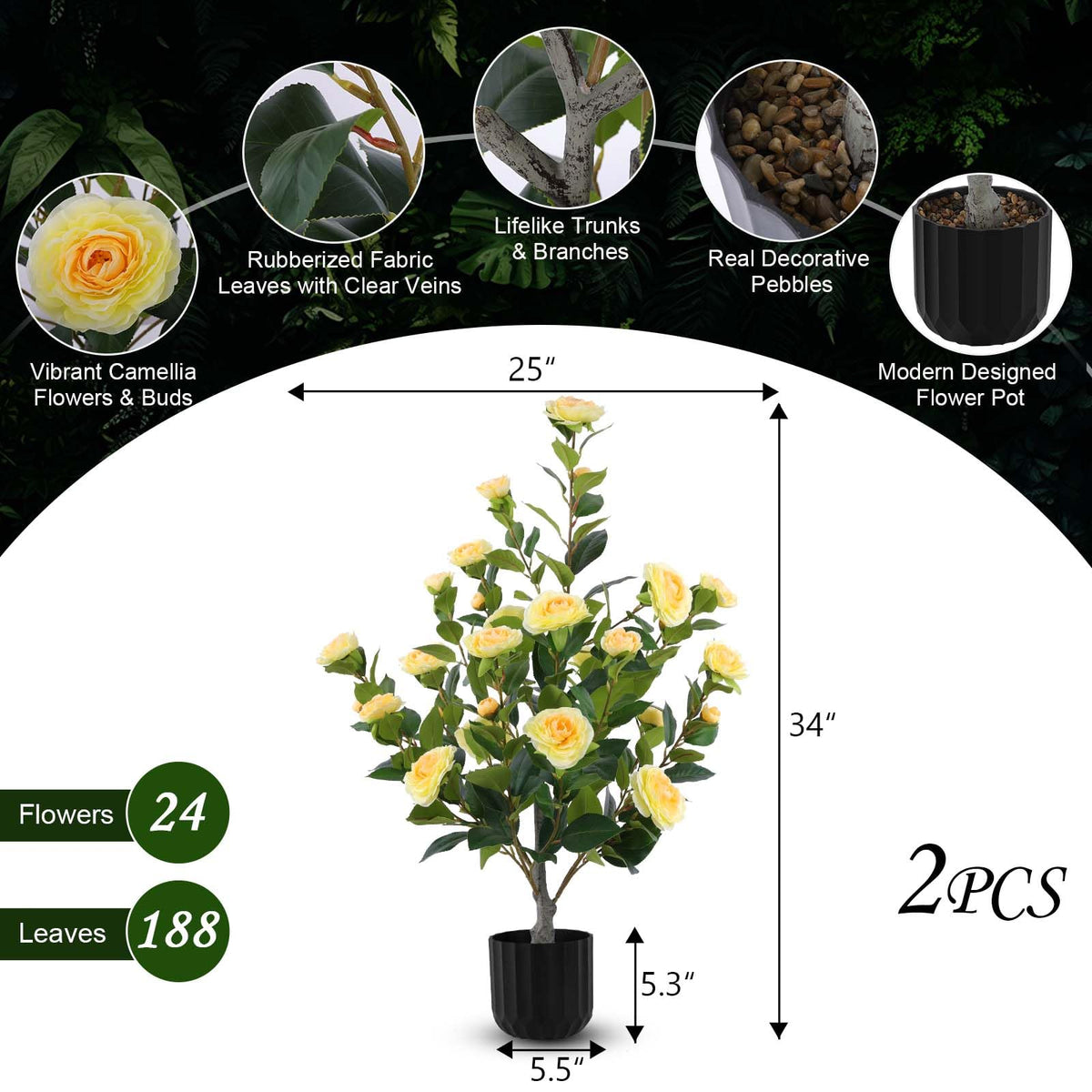 Hananona camellia tree displayed indoors for welcoming ambiance