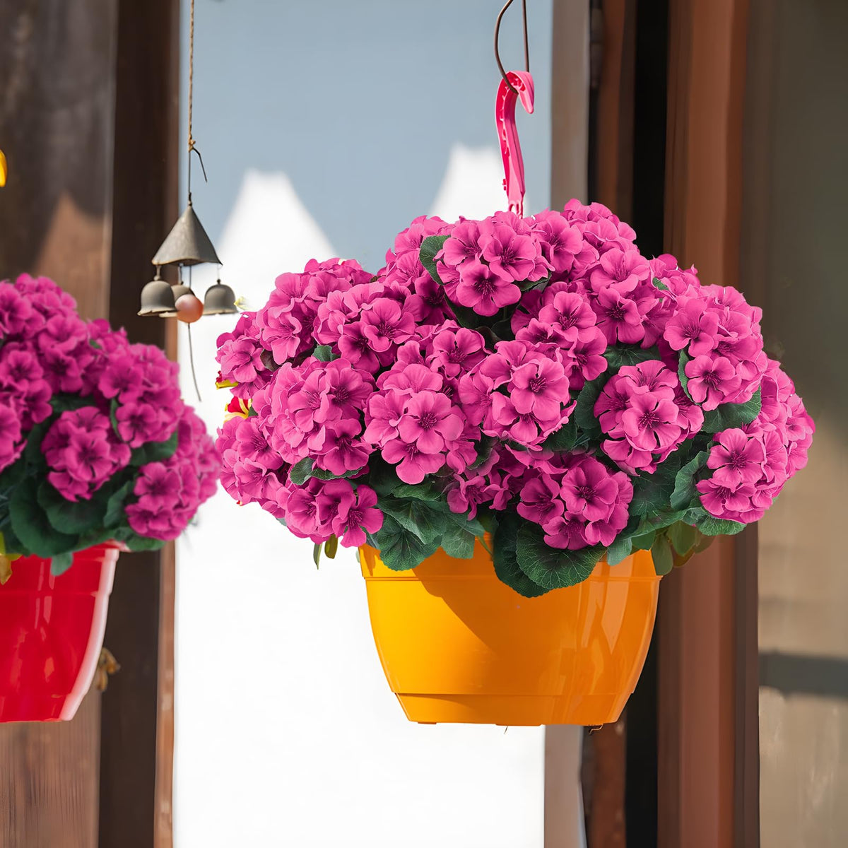 Hananona full flowers with larger heads blend seamlessly with outdoor decor.