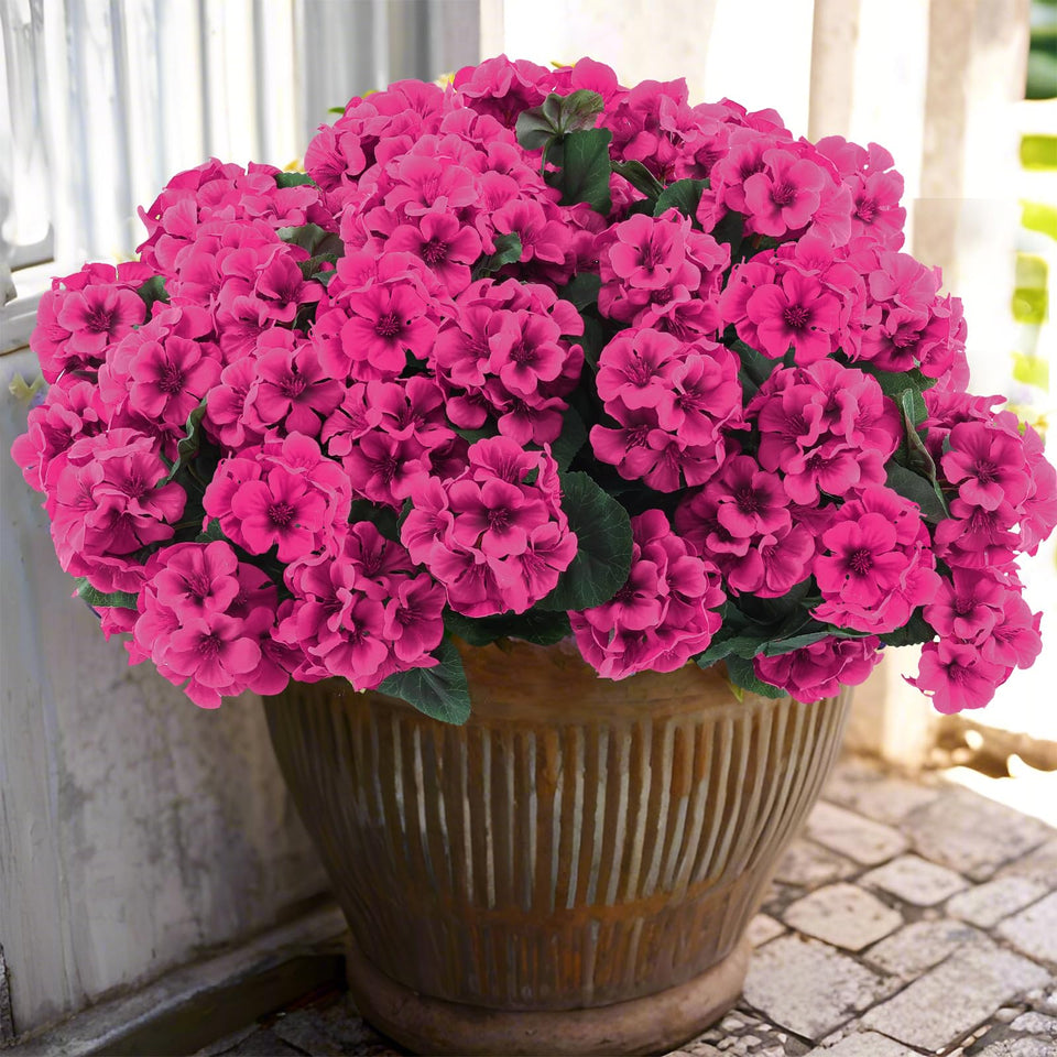 Hananona geraniums outdoor rose red bloom add lasting color to porch decor.